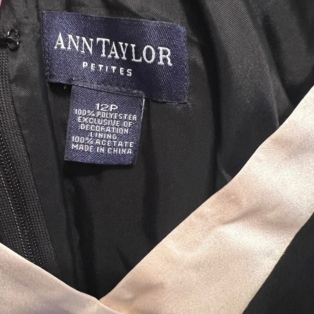 Ann Taylor excellent pre